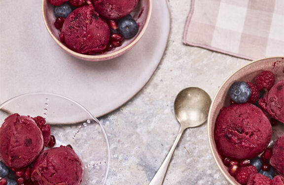 Sorbet Aux Fruits Des Bois