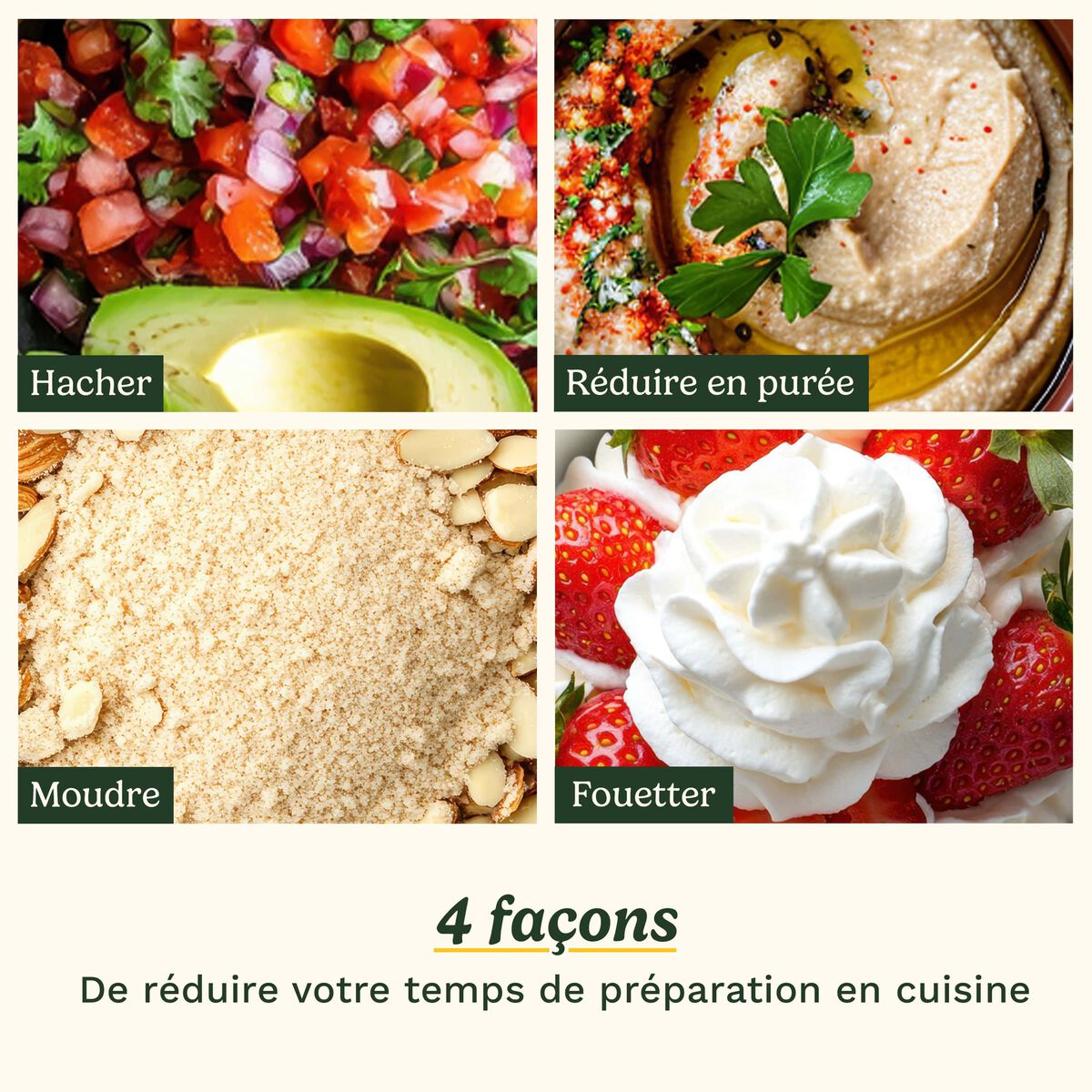 Cuisinart Pixie Chopper Mini Robot Culinaire