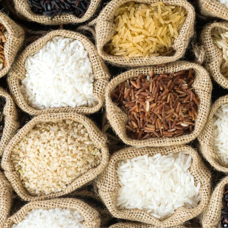 Cuiseurs &Agrave; Riz